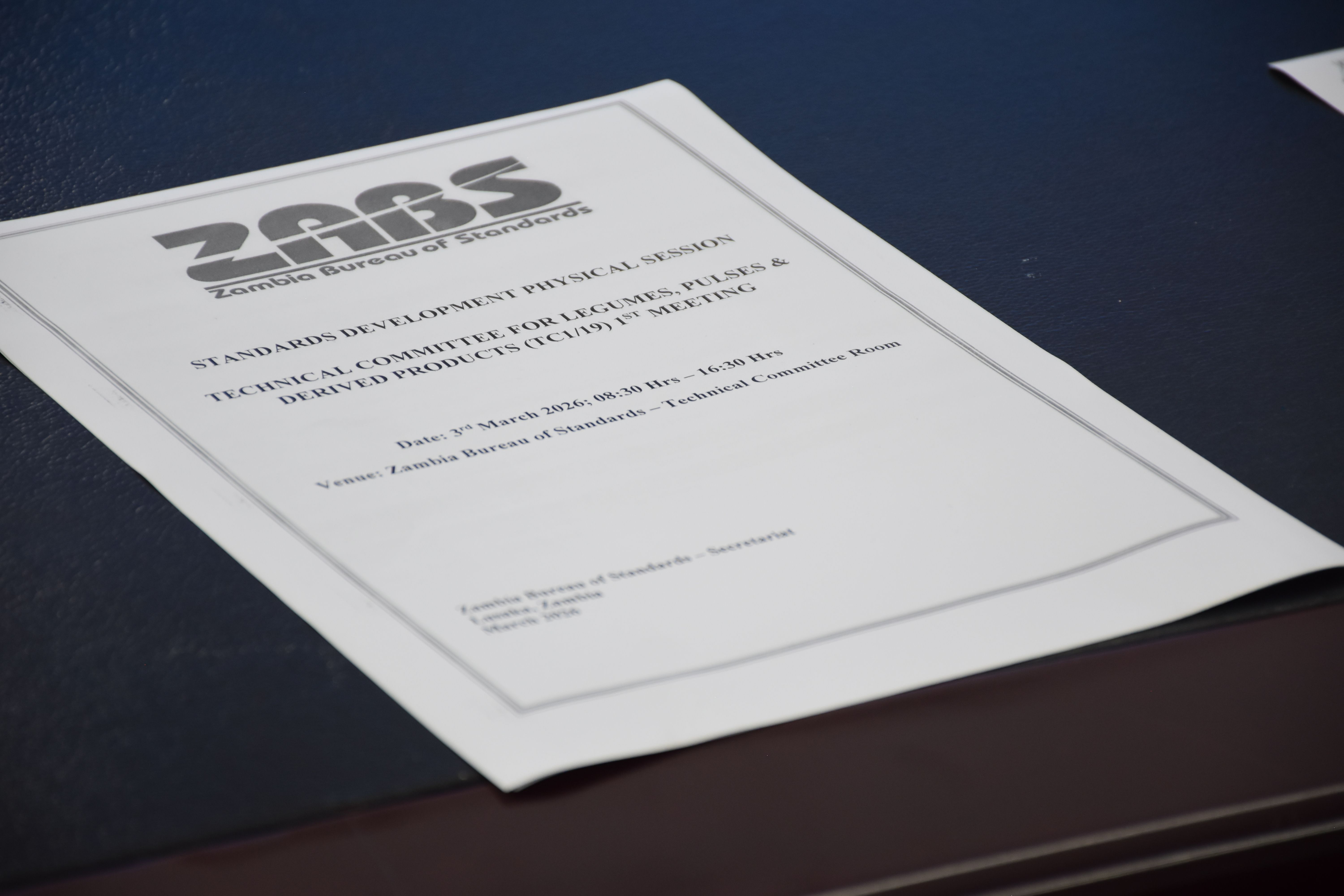 Printed agenda for a ZABS standards development technical committee session.
